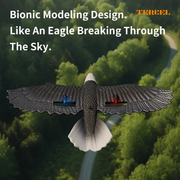 RC Plane Eagle Glider 2.4G 2CH 420MM Wingspan Remote Control EPP Foam Airplane Land,sea,and Air Amphibious Aircraft For Boys - Image 3
